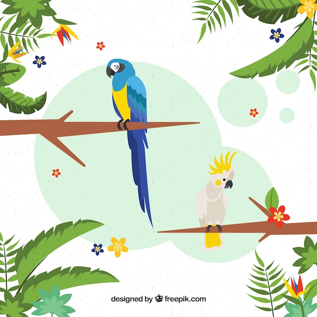 Tropical background with birds and
plants