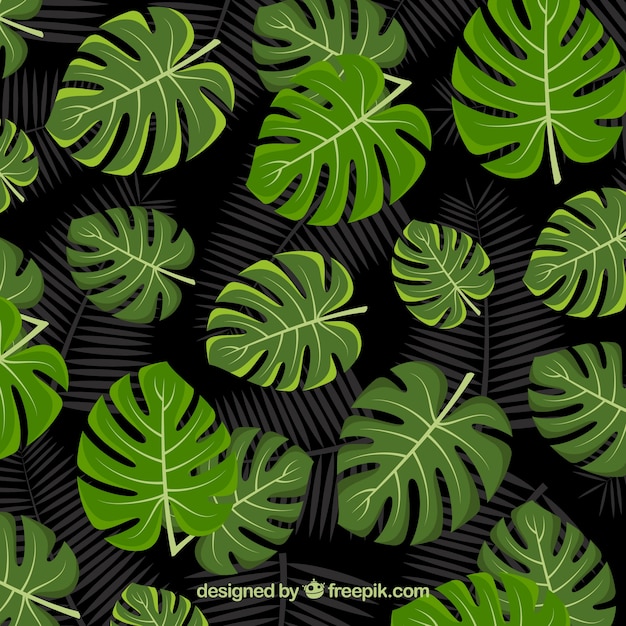 Tropical background with different leaves Free Vector Tropical background with different leaves Free Vector