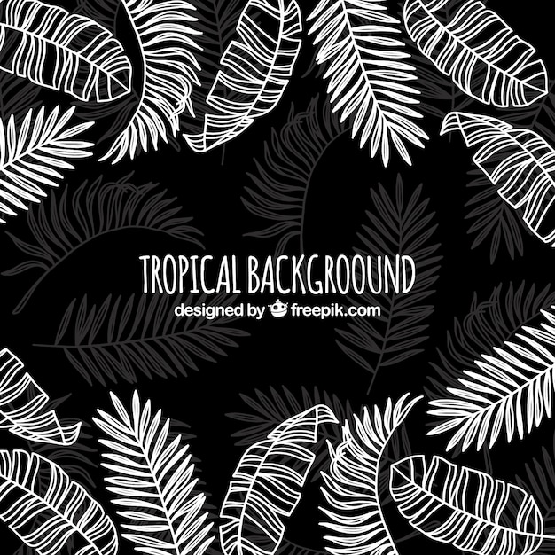 Tropical background with different leaves Free Vector Tropical background with different leaves Free Vector