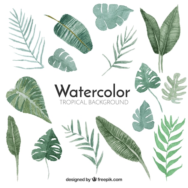 Tropical background with leaves in watercolor\
style