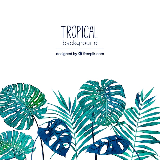 Tropical background with leaves in watercolor
style