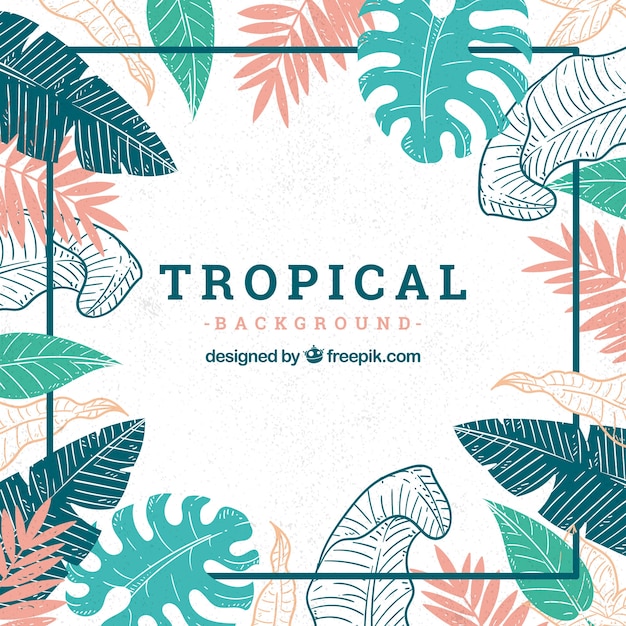 Free Vector | Tropical background