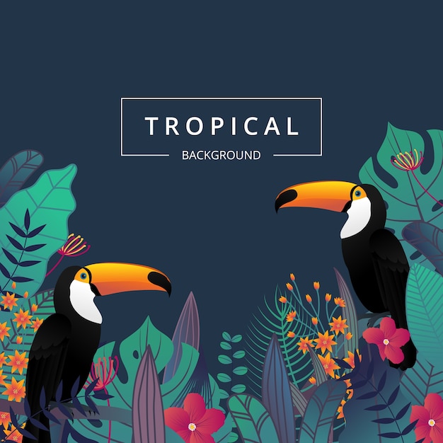  Tropical background