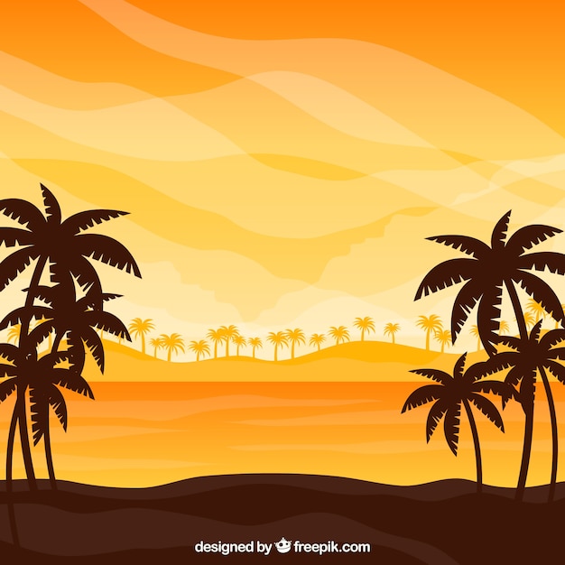 Free Vector | Tropical Beach Background With Sunset