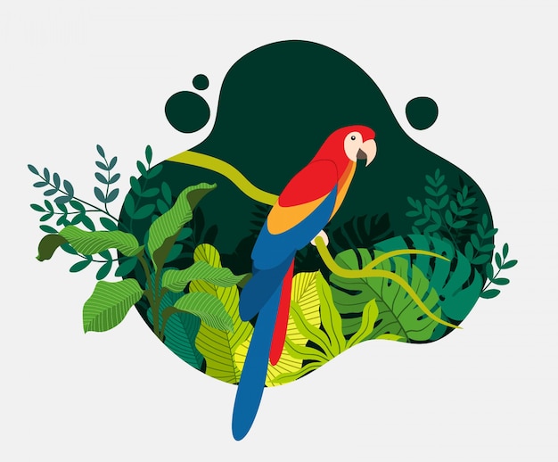 Premium Vector | Tropical bird parrot cartoon animal