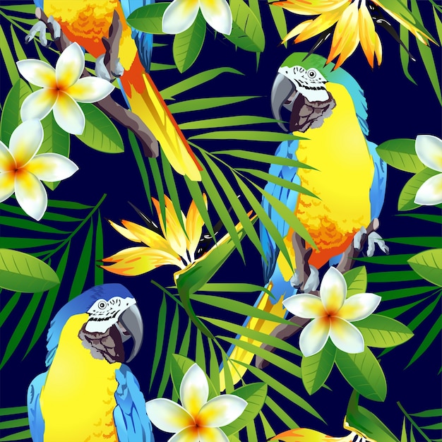 熱帯の鳥 カラフルなオウムとエキゾチックな花 プレミアムベクター