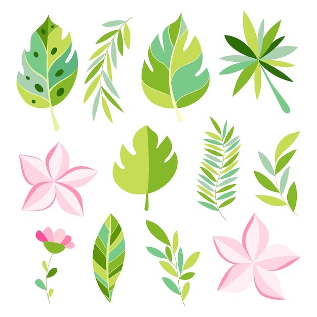 Tropical collection with exotic flowers and leaves. | Premium Vector