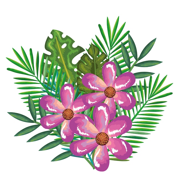 Premium Vector | Tropical and exotics flowers and leafs
