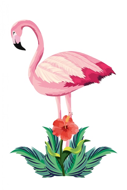 cartoon flamingo playing flute