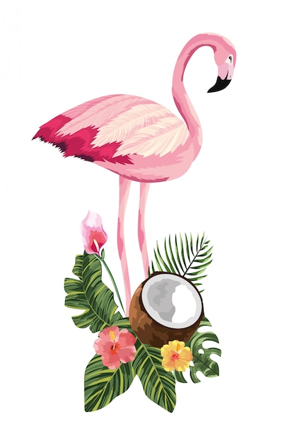 tropical flamingo clipart