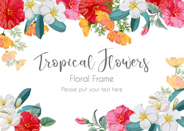 Premium Vector Tropical Flower Frame Illustration