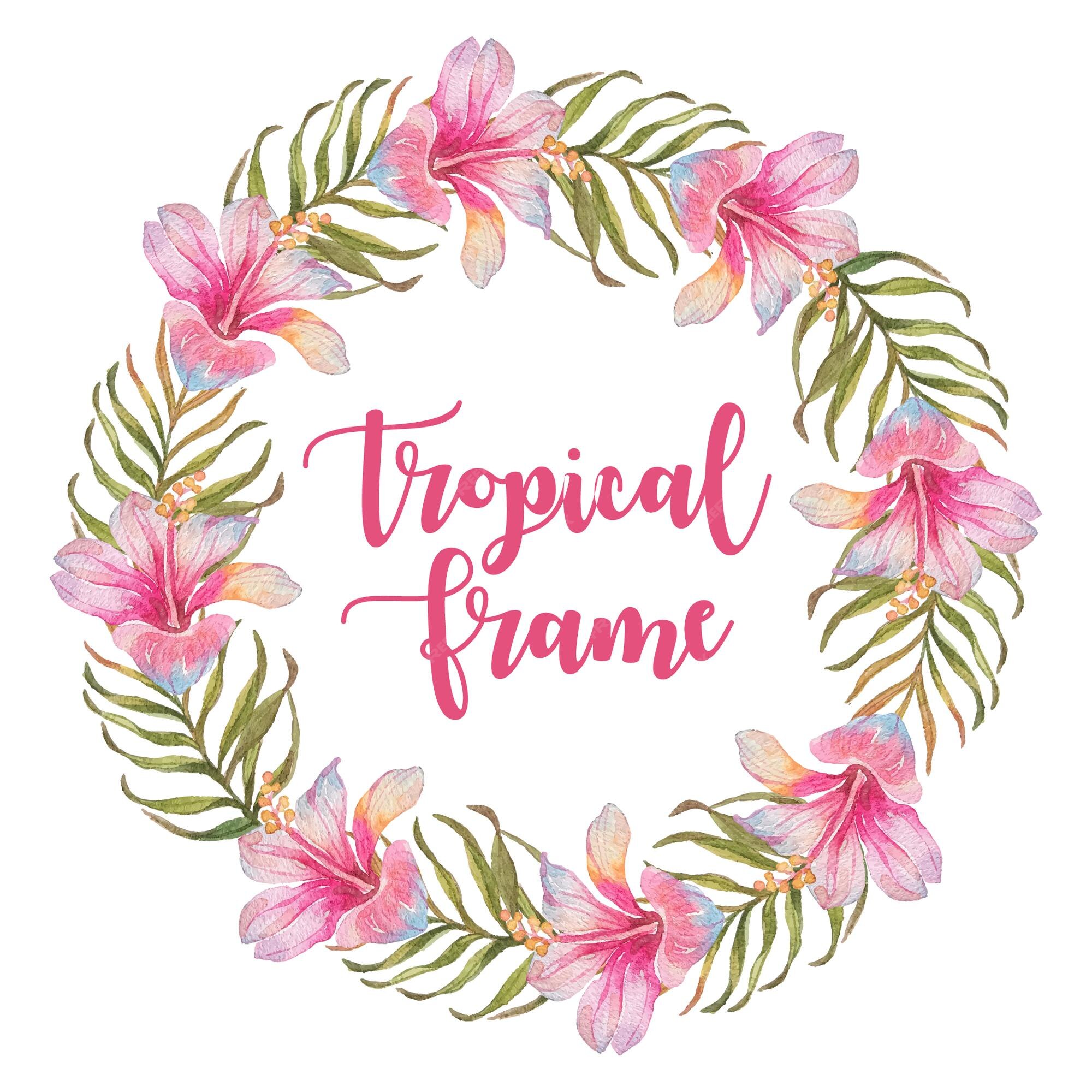 Premium Vector | Tropical flower frame watercolor hand draw