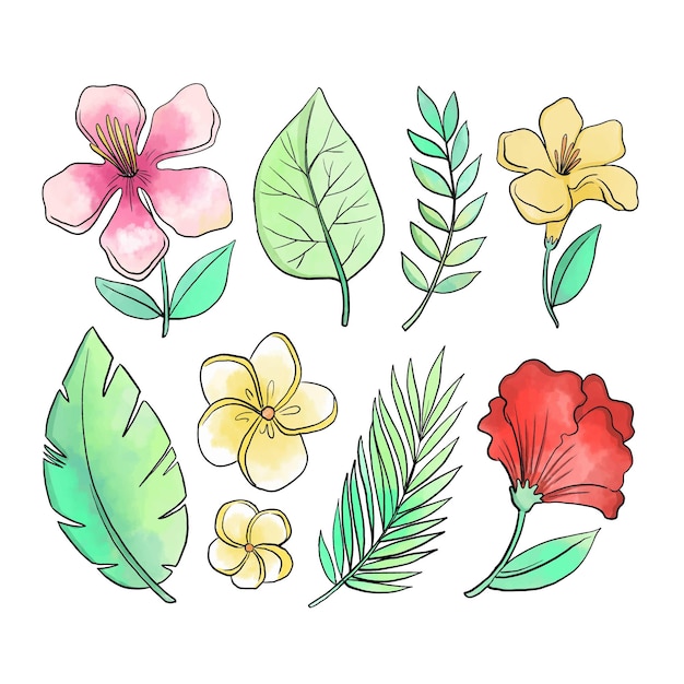 Download Free Vector | Tropical flower and leaf collection