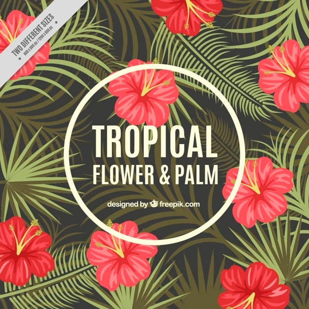Tropical flowers and palm leaves\
background
