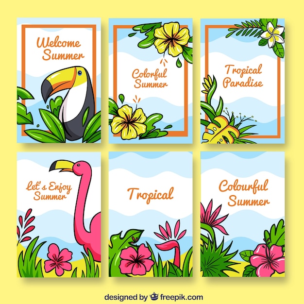 Tropical flowers card collection