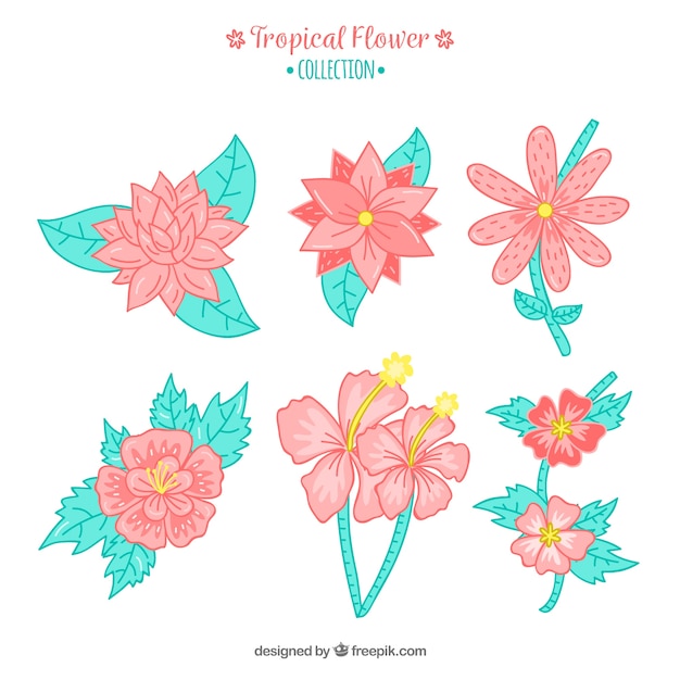 Tropical flowers collection in hand drawn\
style