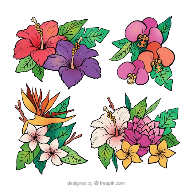 Tropical flowers collection in hand drawn
style
