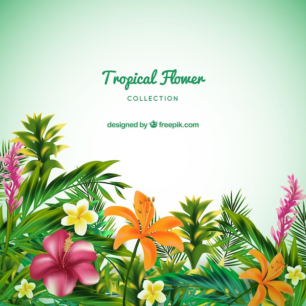 Tropical flowers collection in realistic\
style