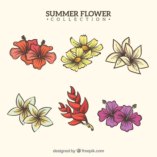 Tropical flowers collection in warm
colors