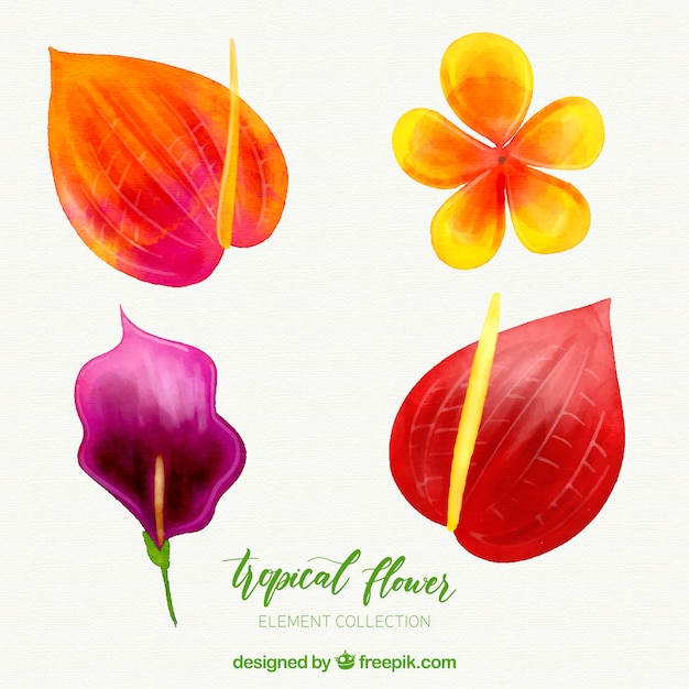 Tropical flowers collection in watercolor\
style