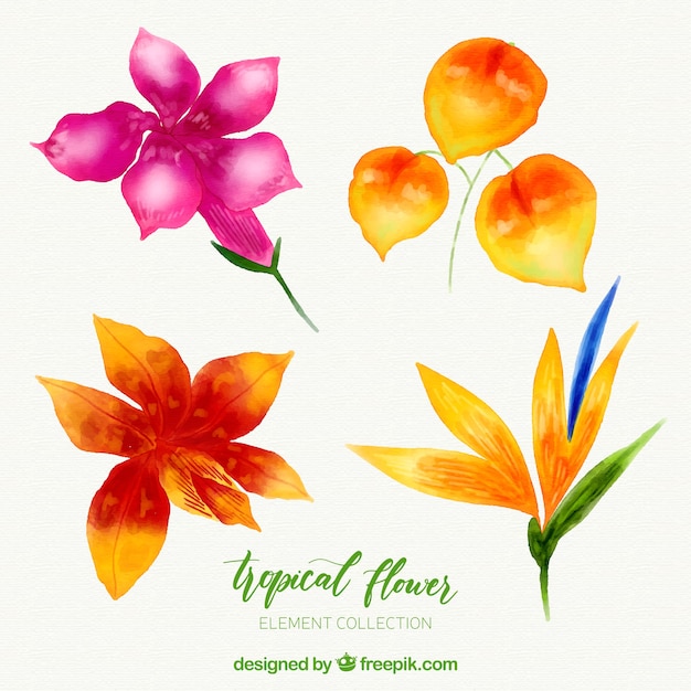 Tropical flowers collection with colorful
watercolor