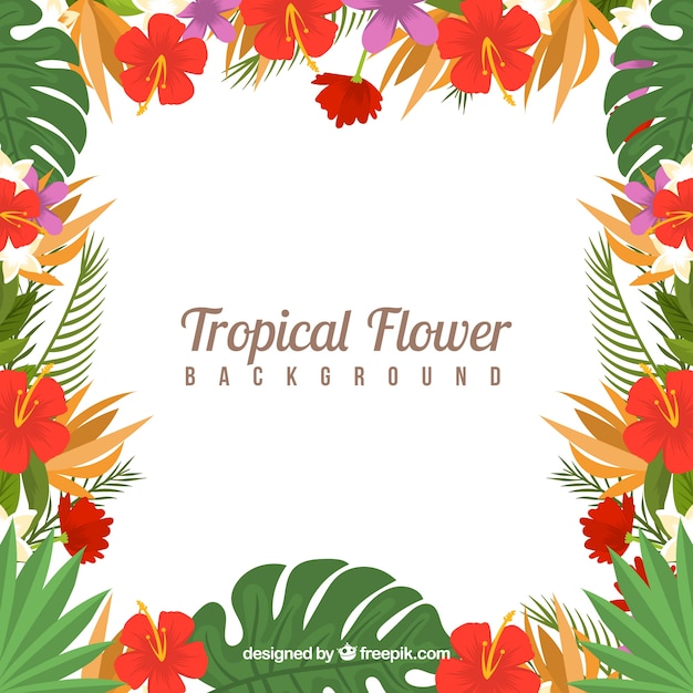 Tropical flowers frame background