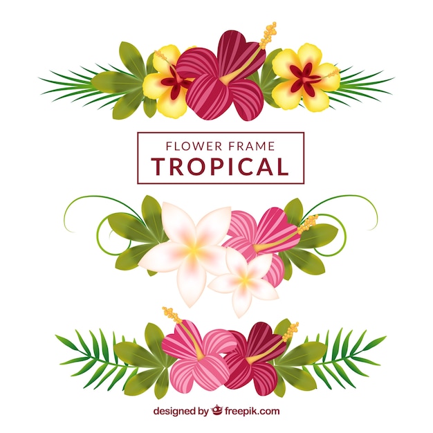 Tropical flowers ornaments