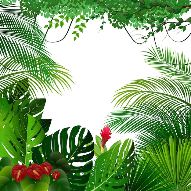 Premium Vector | Tropical jungle background