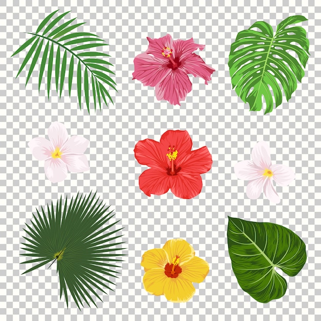 熱帯の葉と花のアイコンセット透明グリッドの背景に分離されました ヤシ バナナの葉 ハイビスカス プルメリアの花 ジャングル ツリーのデザインテンプレート 植物と花のコレクション プレミアムベクター