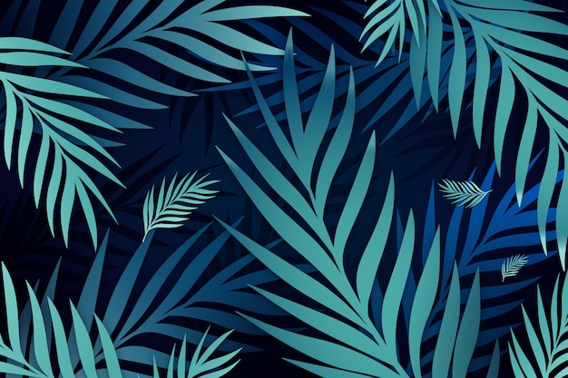 tropical zoom backgrounds