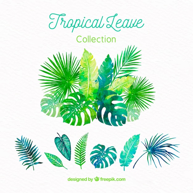 Tropical leaves collection in watercolor
style
