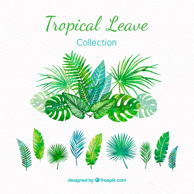 Tropical leaves collection in watercolor
style