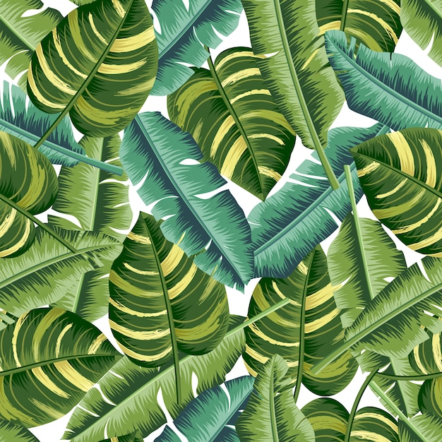 Premium Vector | Tropical Leaves Seamless Pattern Monstera Leaf Background