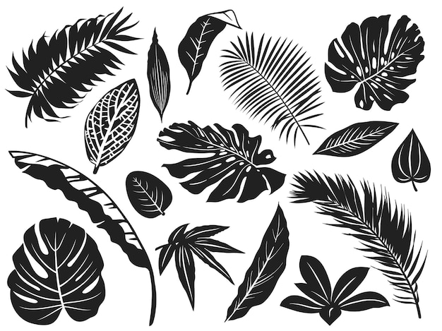 熱帯の葉のシルエット ヤシの木の葉 ココナッツの木とモンステラの葉の黒いシルエットのイラストセット プレミアムベクター
