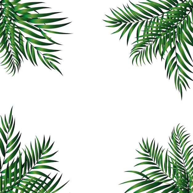 Premium Vector | Tropical natural green palm. illustration