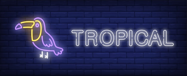 Free Vector | Tropical neon sign