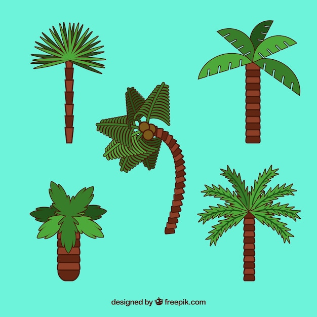 Tropical palm trees flat design