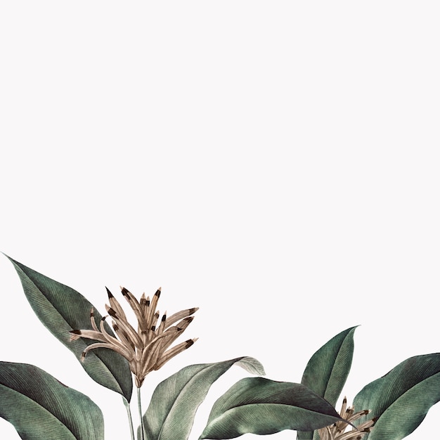 Tropical plant mockup illustration | Free Vector