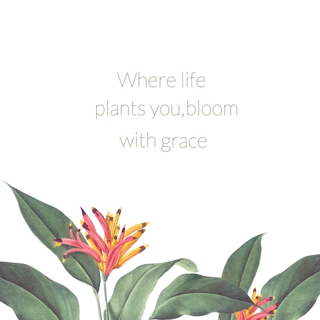 Download Tropical plant mockup illustration | Free Vector
