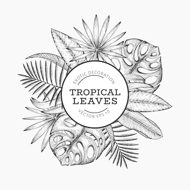 Premium Vector | Tropical plants banner design. hand drawn tropical ...