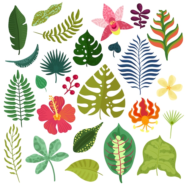 Free Vector Tropical Plants Collection