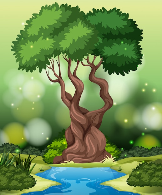 Tropical Rainforest Tree Cartoon