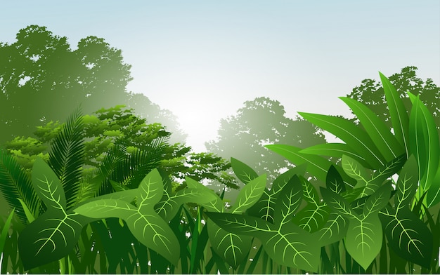 Tropical Rainforest Vector With Green Leaves Premium Vector