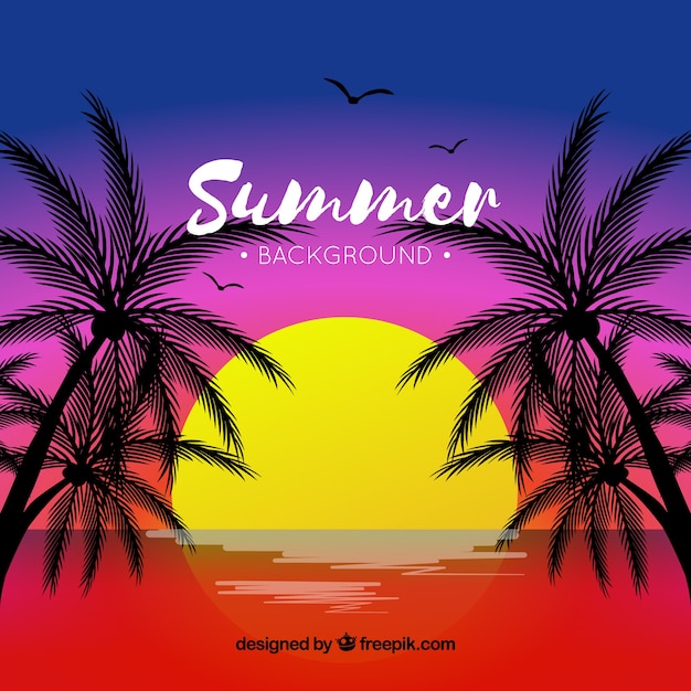 Tropical summer background at sunset