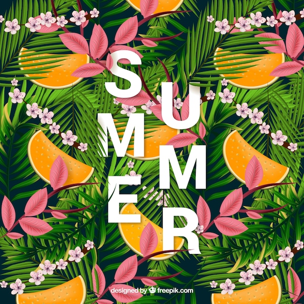 Tropical summer background with palm leaves and\
melon