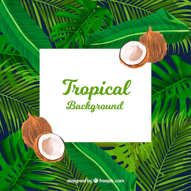 Tropical summer background with plants and coconuts Free Vector