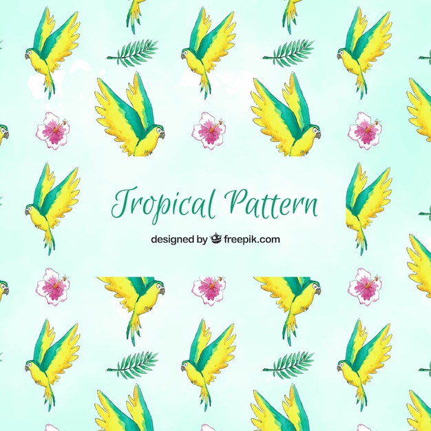 Tropical summer pattern with birds and\
flowers