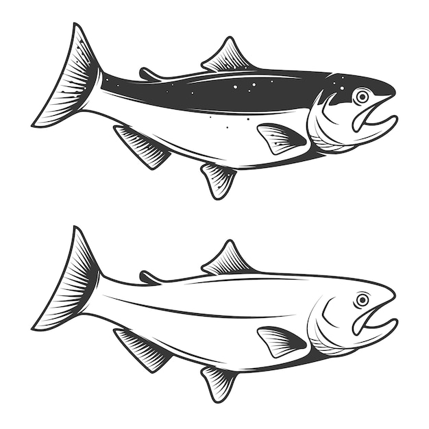 Download Premium Vector | Trout fish icons on white background ...