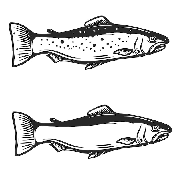 白い背景のマス魚イラスト ロゴ ラベル エンブレム 記号の要素 図 プレミアムベクター