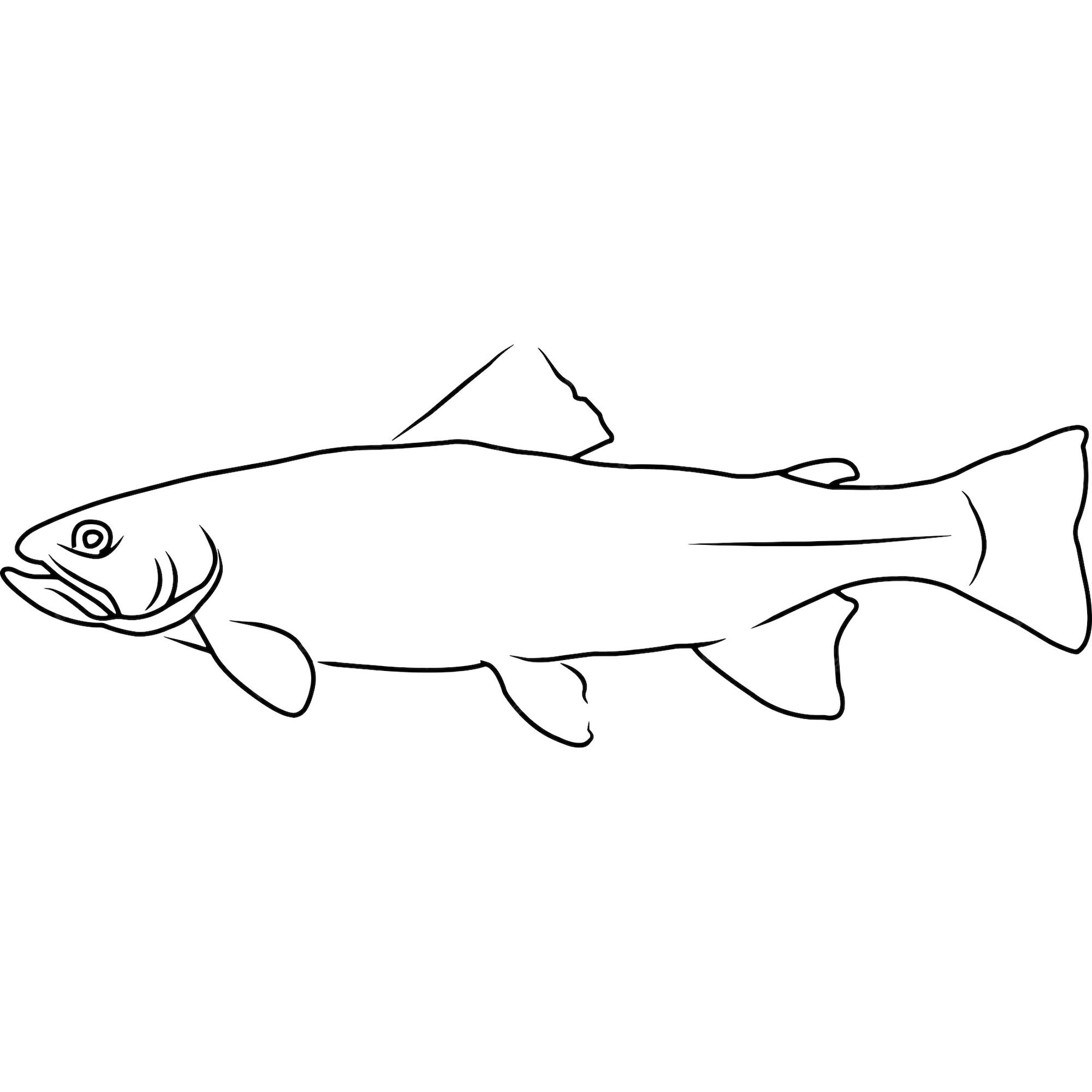 Premium Vector | Trout hand sketched hand drawn vector clipart